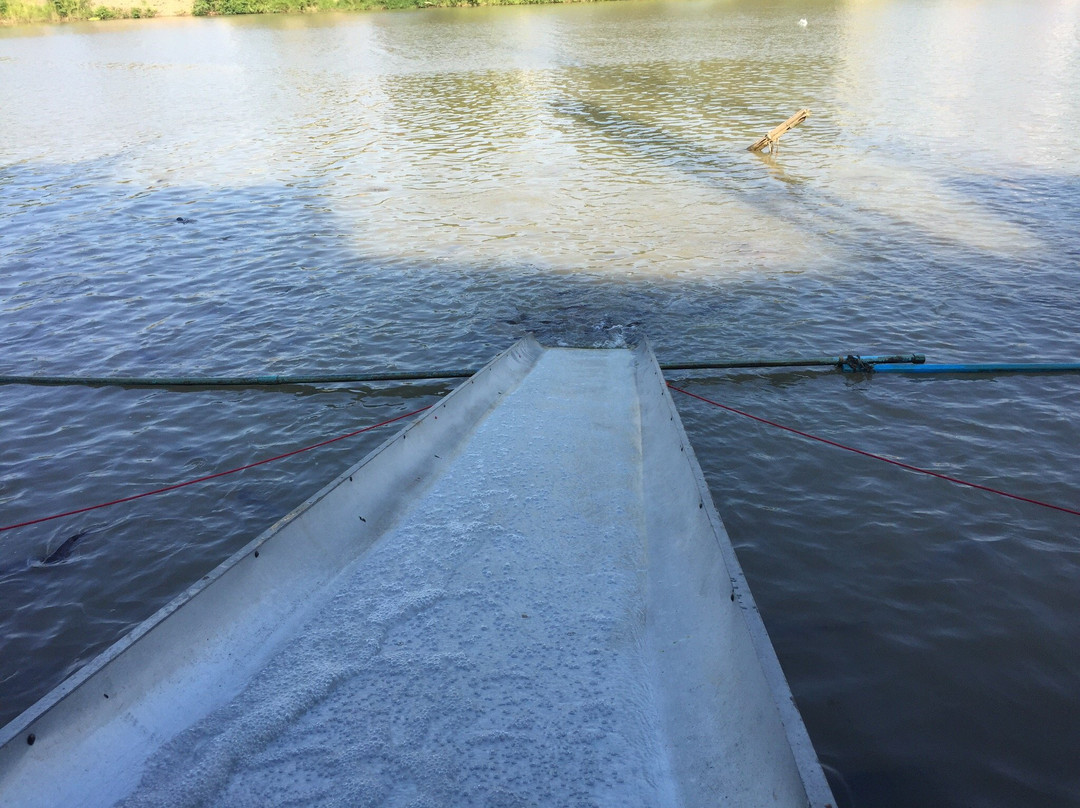 Wat Tonson-红统必去景点