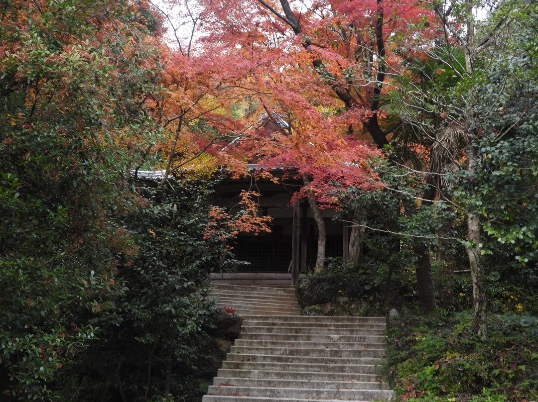 Kiyomizudera Temple-富加町必去景点