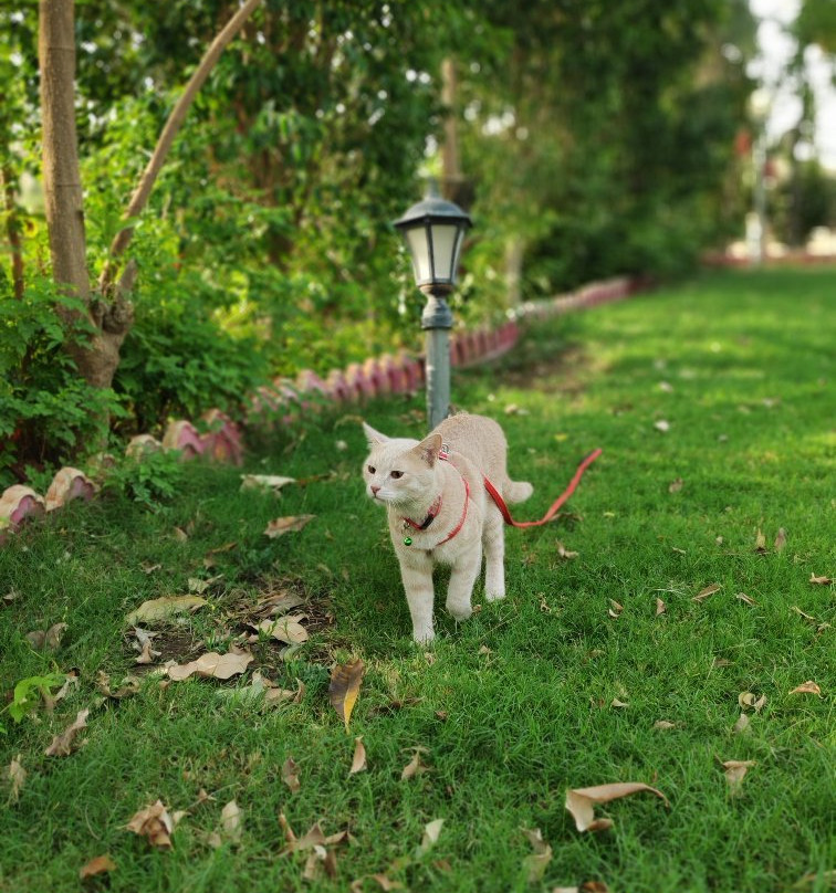 Vyomanh Home Stay Jaisamand Udaipur主图