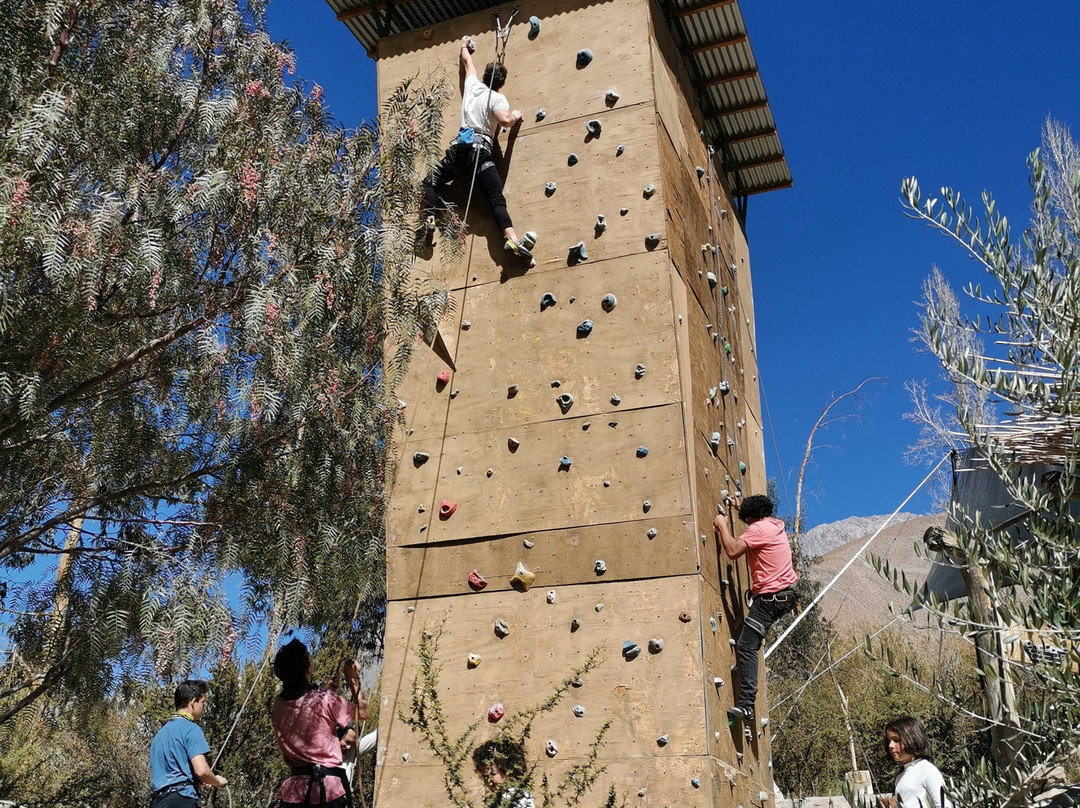 Elqui Adventures-Pisco Elqui必去景点