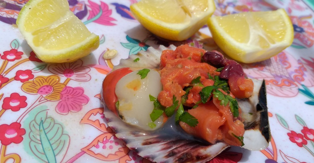 Turismo Todo Tongoy-Tongoy必去景点