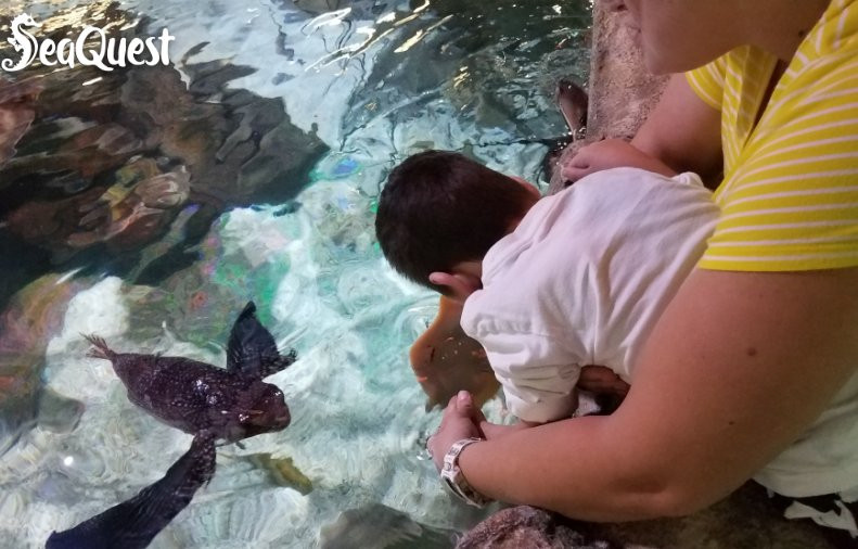 Woodbridge Aquarium & Wildlife Center-伍德布里奇必去景点