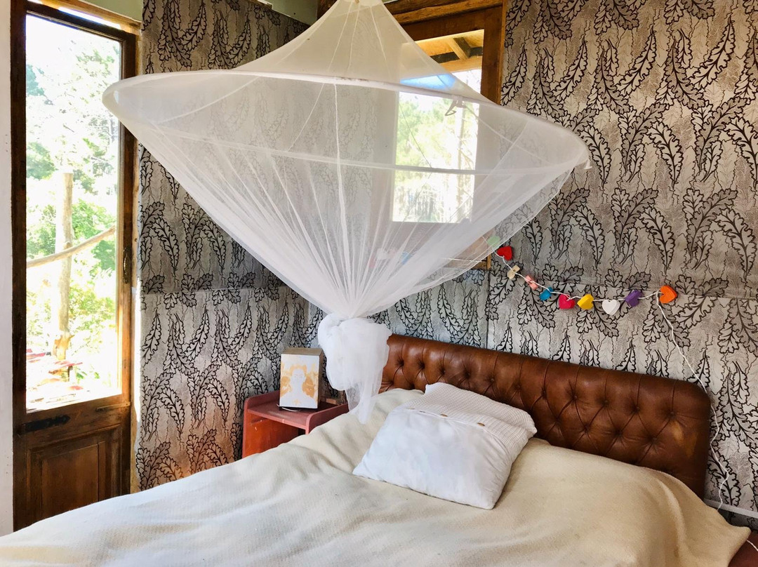 Bouland Uruguay主图