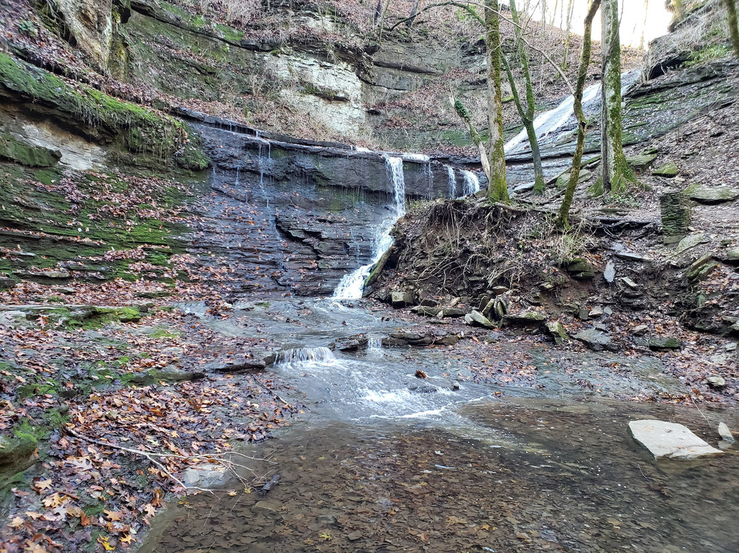 Jackson Falls-Williamsport必去景点