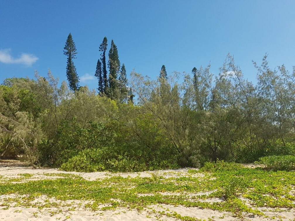 Tibarama Island-Poindimie必去景点