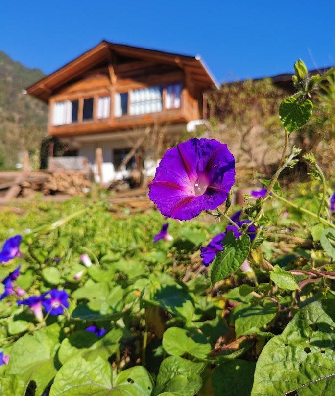 怒江大峡谷-贡山独龙族怒族自治县必去景点