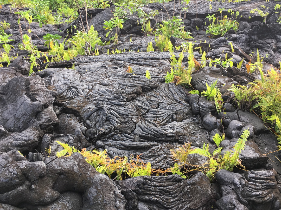 Saleaula Lava Fields-萨瓦伊岛必去景点