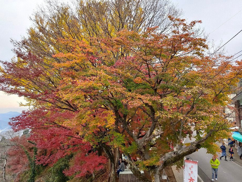 Kenshindaira-栃木市必去景点