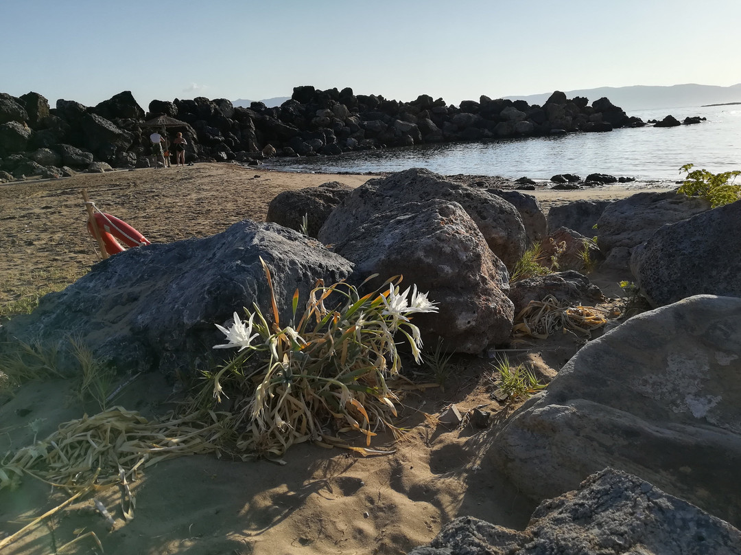 Elena Beach Hotel主图