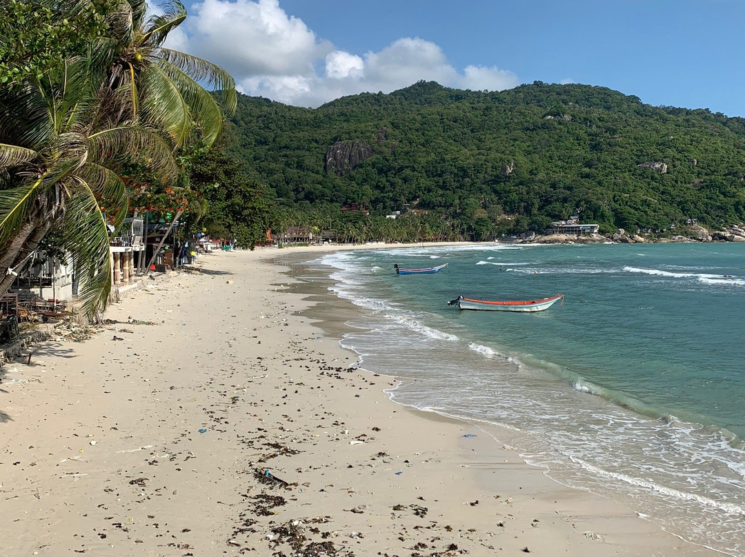 The Rock Bungalows主图