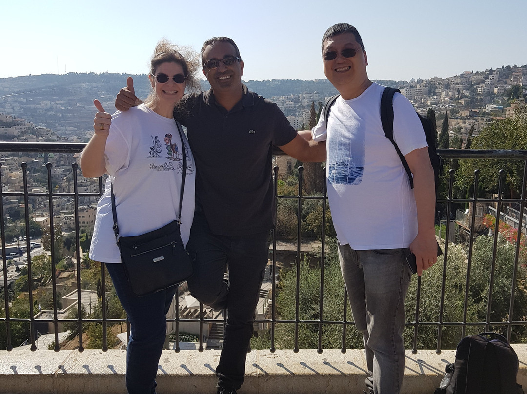 Hallelujah Tours - Day Tours-特拉维夫必去景点