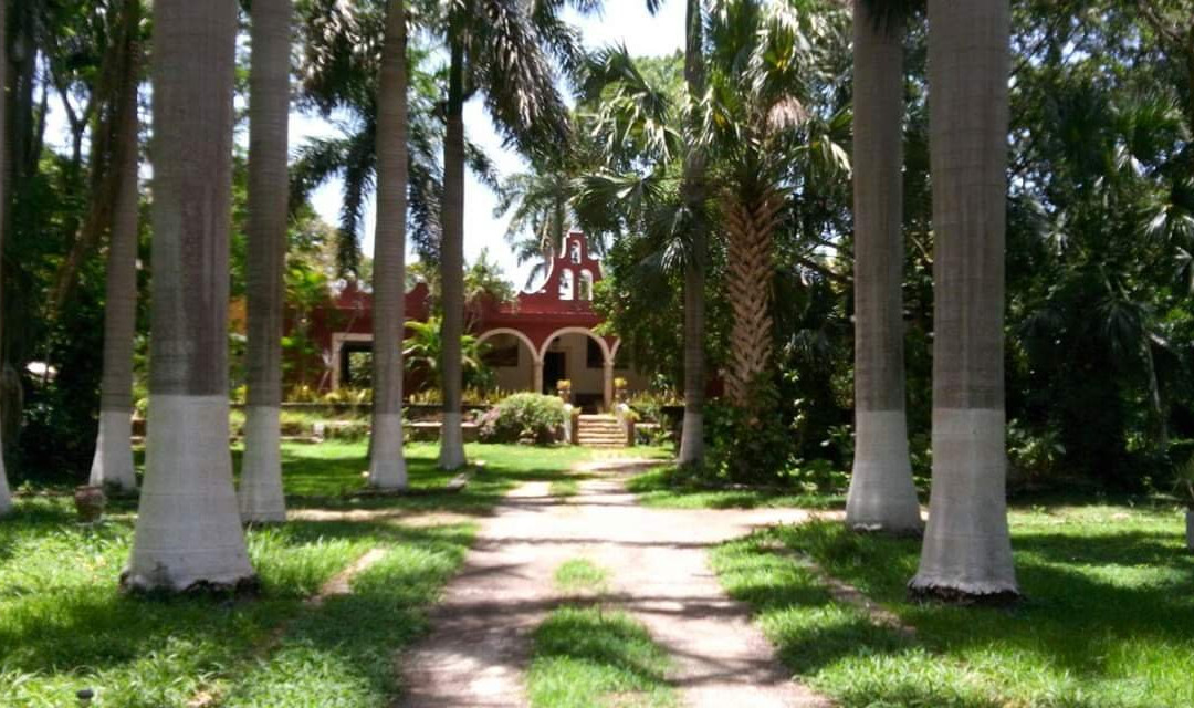 OYO Hacienda Blanca Flor主图