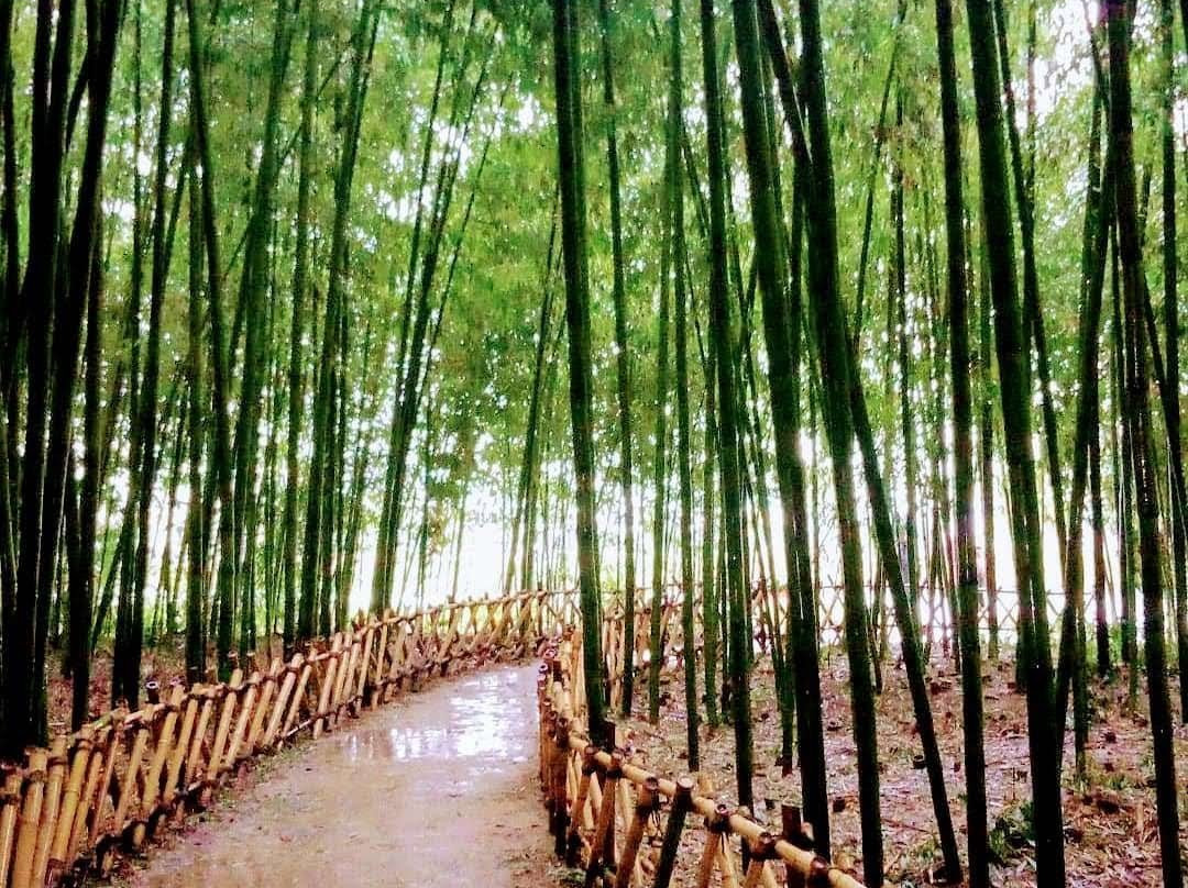 Ulsan Grand Park-蔚山必去景点