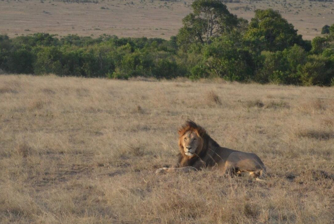 Max Tours and Travel-Mara North Conservancy必去景点