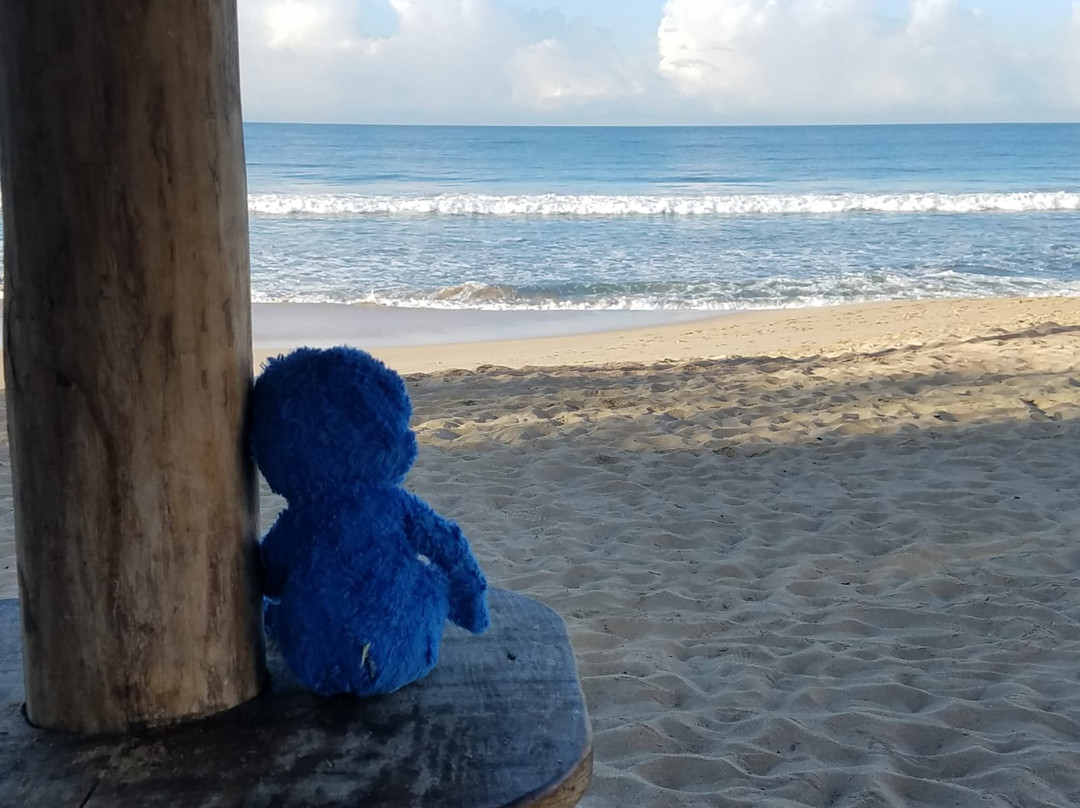 Mayan Palace Mazatlán主图