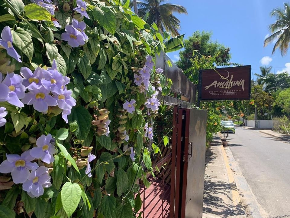 AmaLuna Vegan Restaurant & Lab