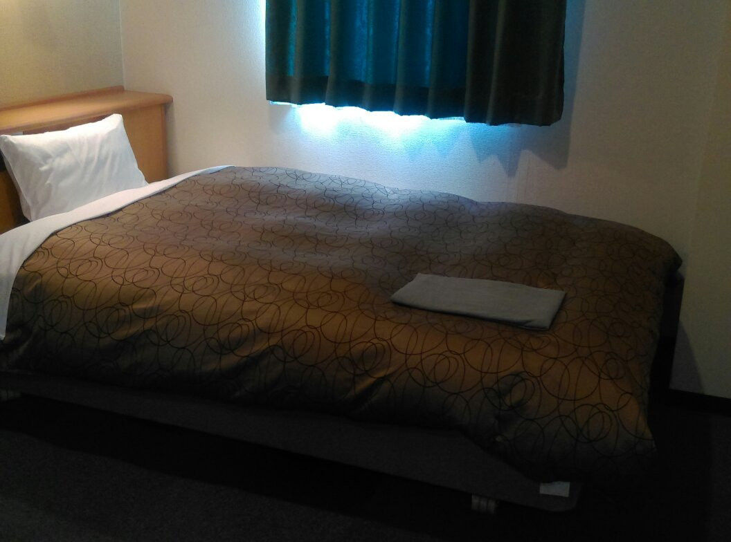 Hotel K&G Takaoka主图