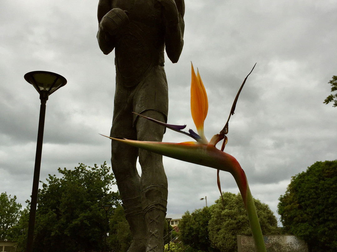 Lionel Rose Statue-沃拉格尔必去景点