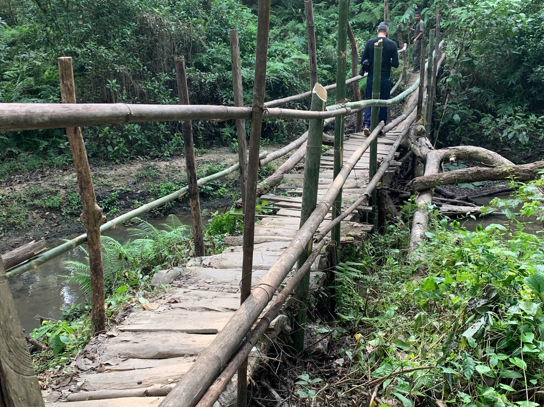 Kasara Chitwan主图