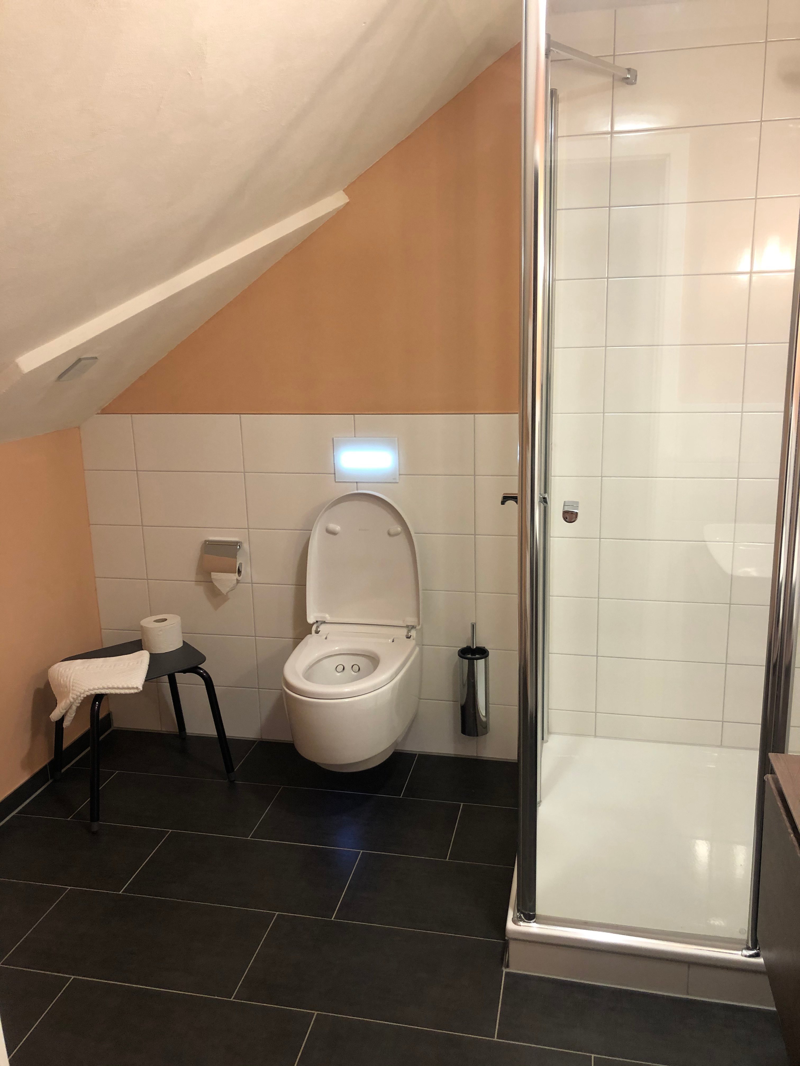 Hotel-Restaurant Haus Recke-浴室