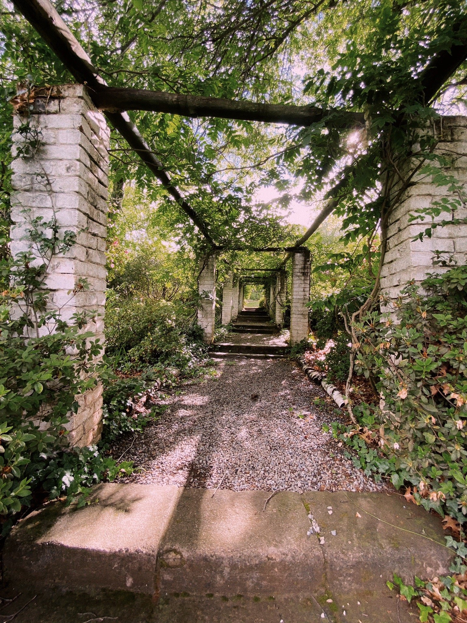 Nutwoods Park-官方