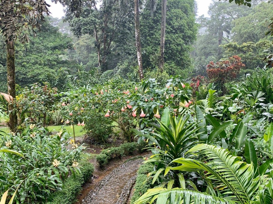 Heliconia Island主图