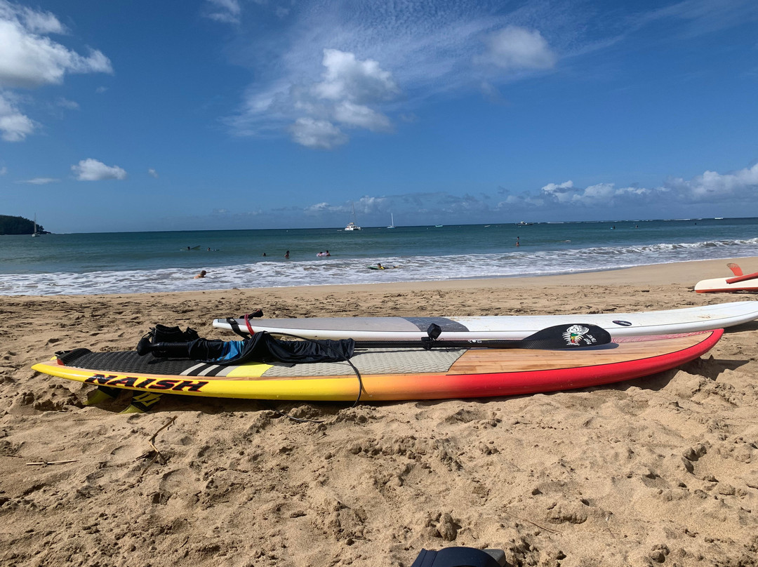 Kauai Surfboard Rentals-哈纳雷伊必去景点
