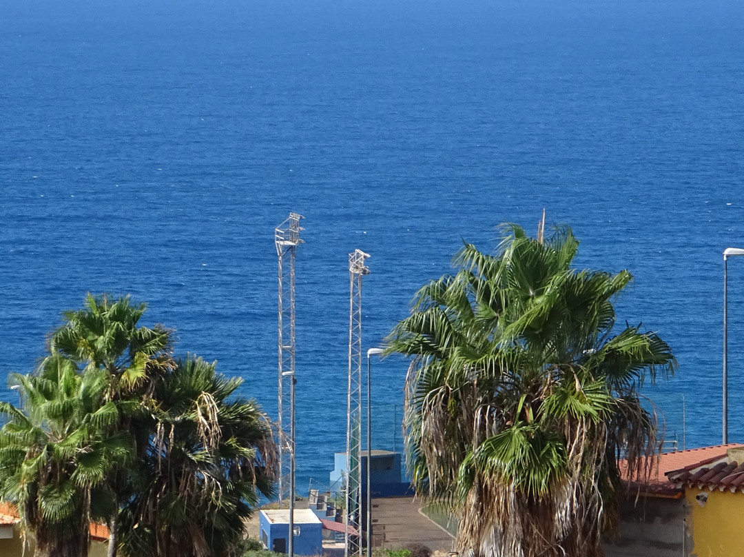 Los Realejos旅游景点-Parque Toscal