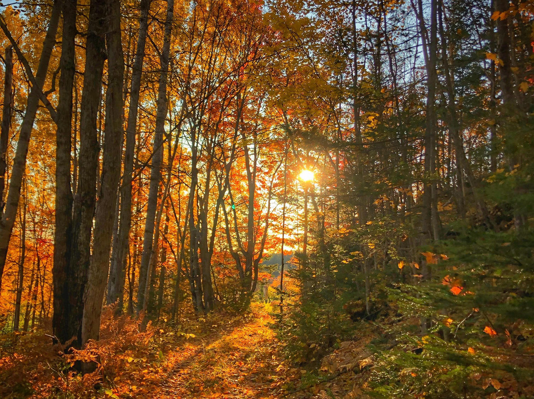 Gite A la Voute Étoilee主图