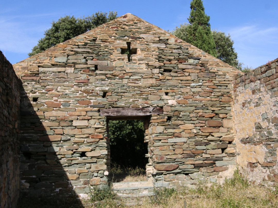 Eglise San Michele景点图片