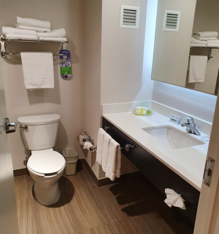 Holiday Inn Tampico Altamira by IHG主图