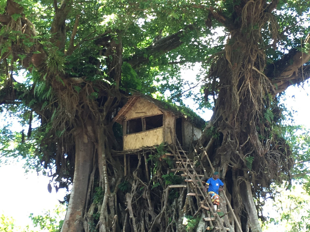 Yakel Village-塔纳岛必去景点
