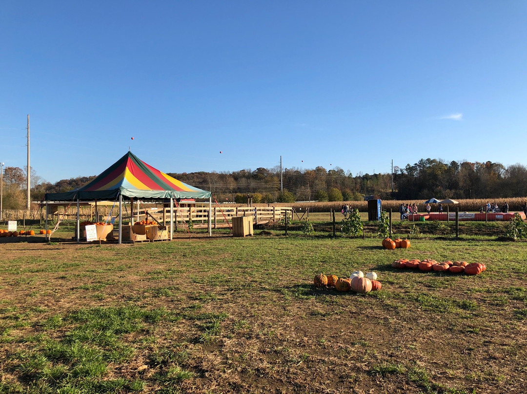 Uncle Shucks Corn Maze and Pumpkin Patch-道森维尔必去景点