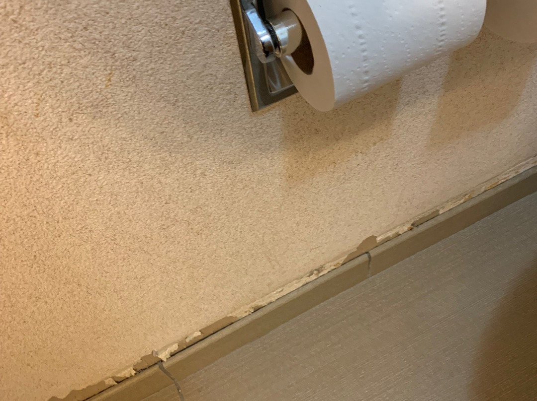 Comfort Inn Camp Verde - I-17 Exit 287 Arizona 260主图