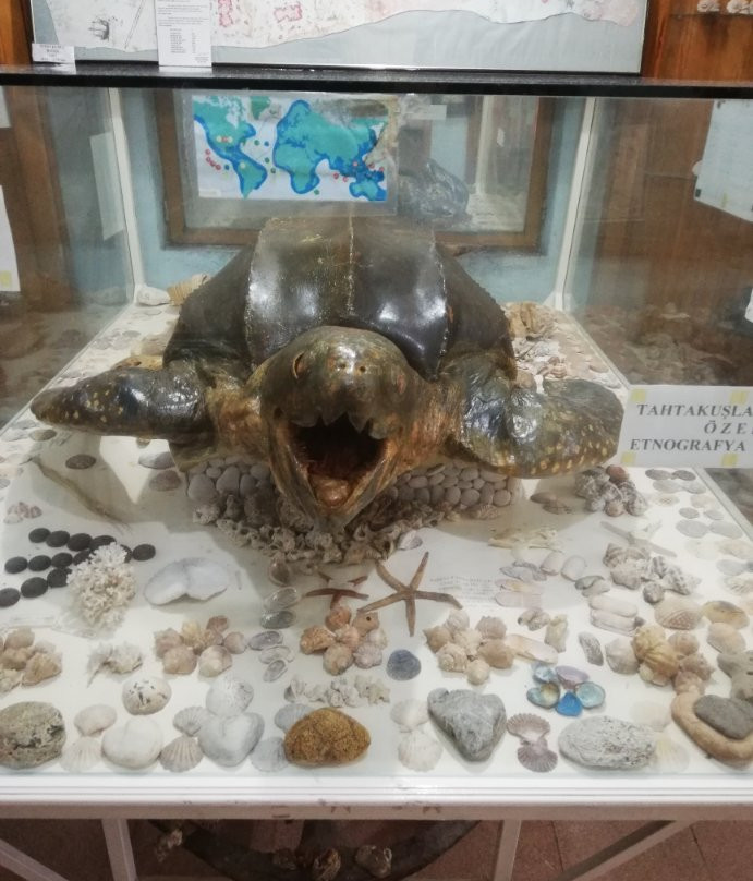 Tahtakuslar Museum-巴勒克西尔必去景点