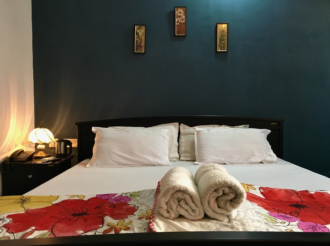 The Royal Panacea主图