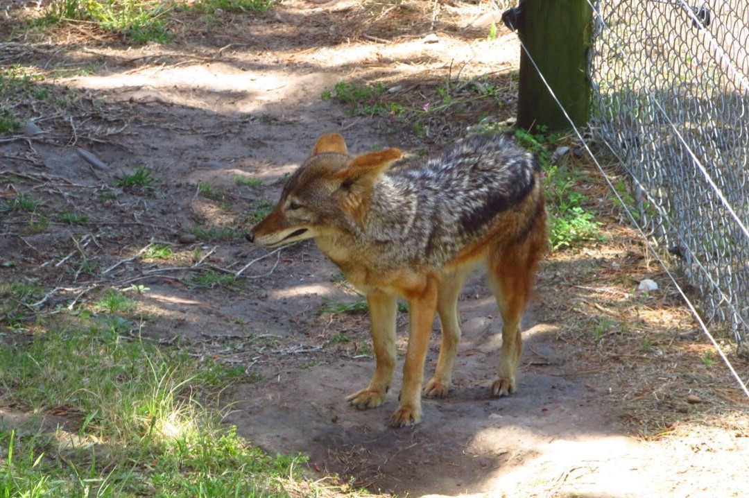 Jukani Wildlife Sanctuary-The Crags必去景点