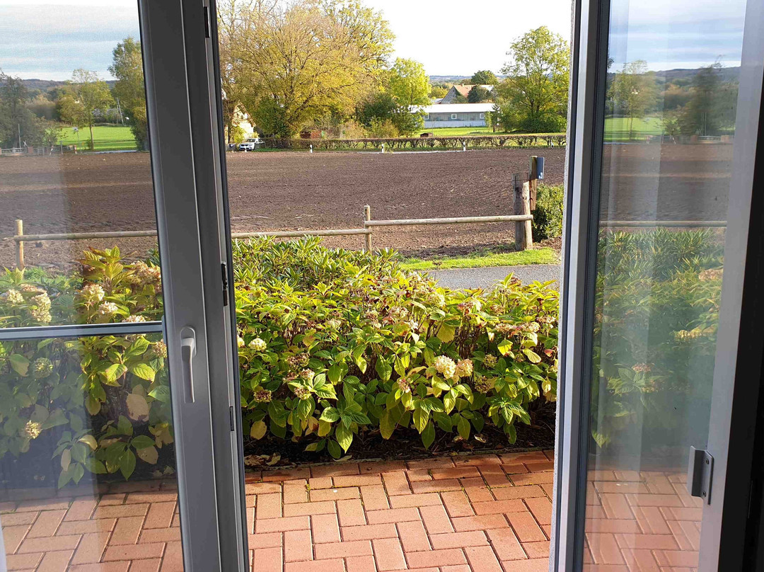 Hotel Lingemann主图