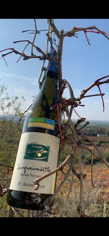 Weingut Norbert Bauer-官方