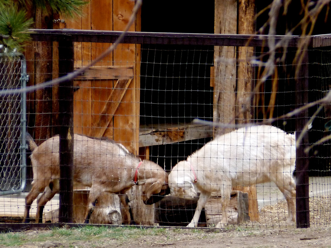Humphrey History Park and Museum-Evergreen必去景点