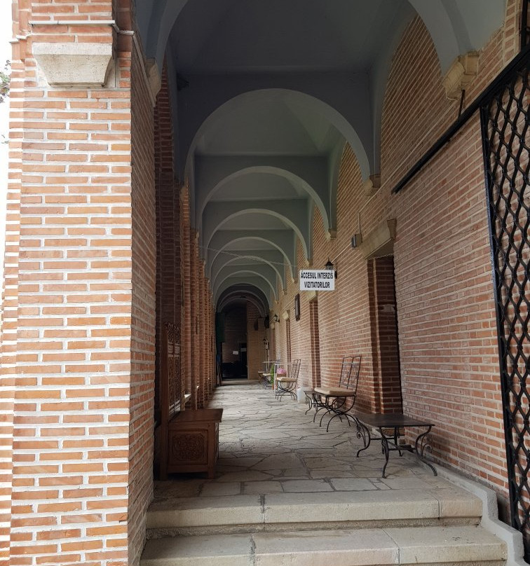 Mânăstirea Dealu景点图片