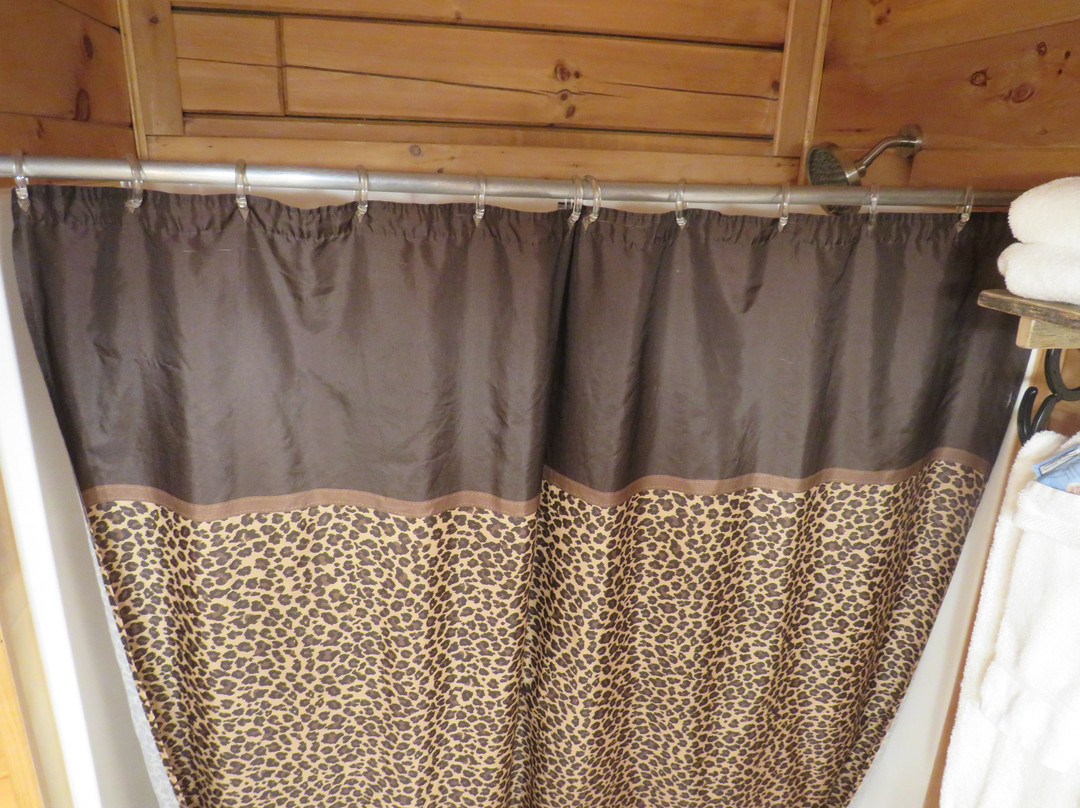 Log Cabin Lodge and Suites主图