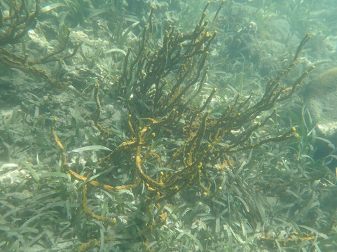 Conservation Kayak-St. George's必去景点