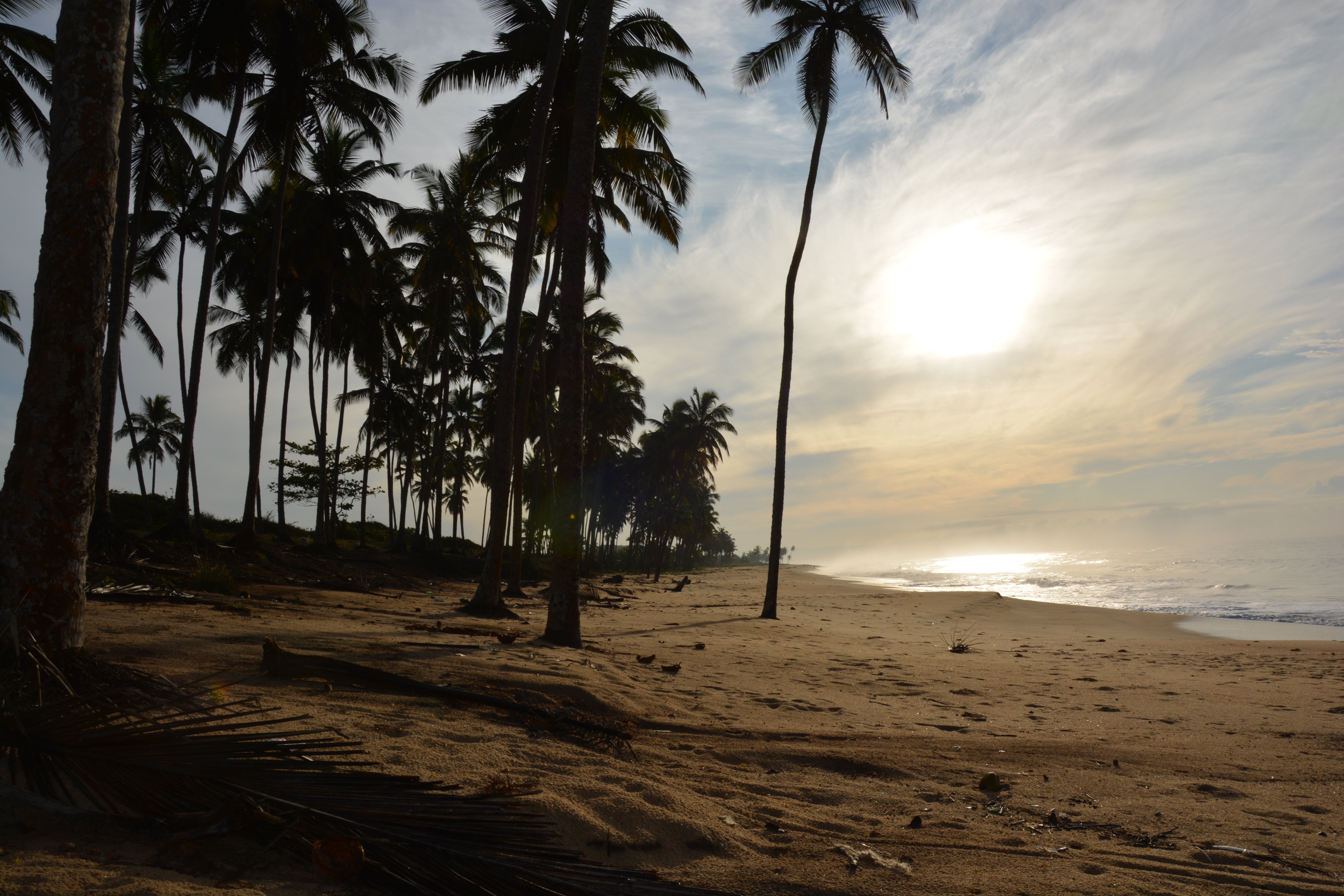 Brenu Beach Lodge-泳池