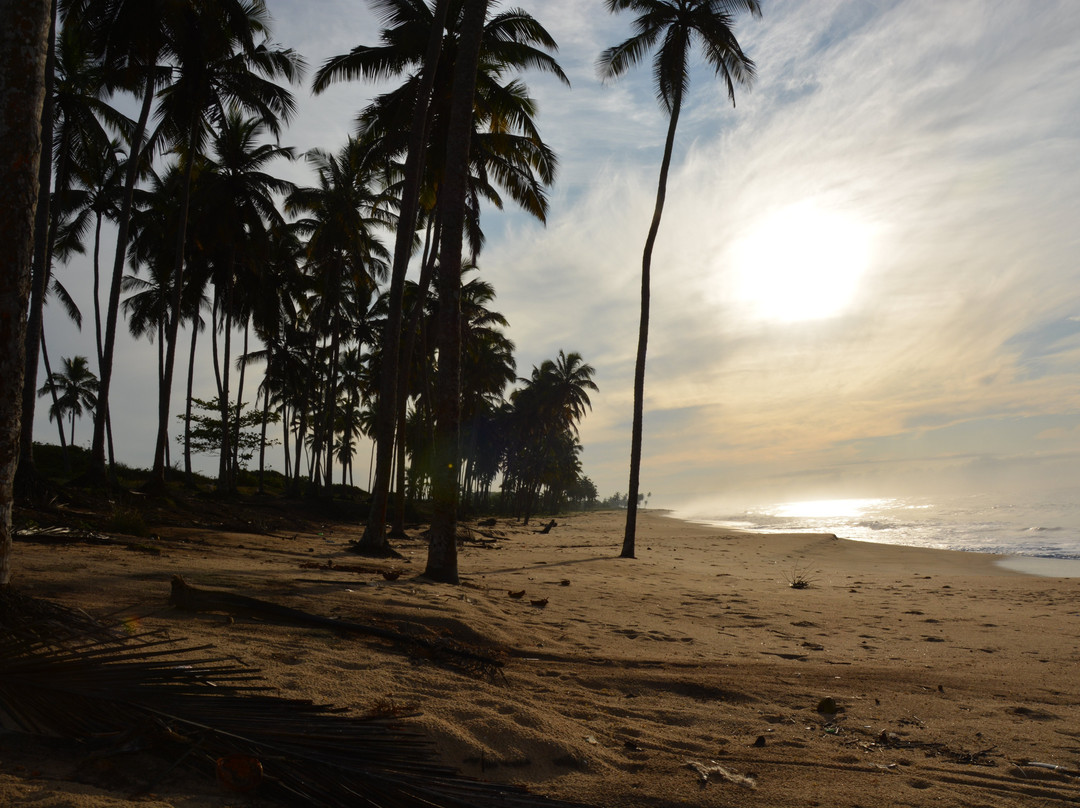 Brenu Beach Lodge主图