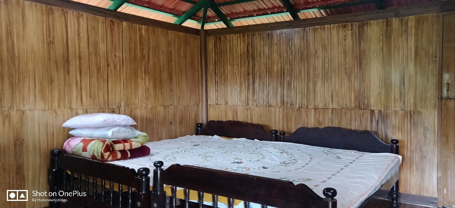 Blossom Homestay-官方