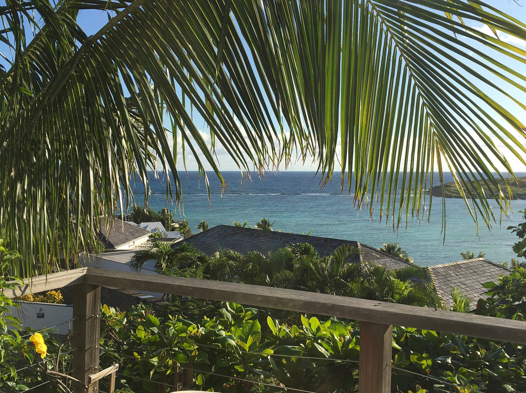 Hôtel Villa Lodge 4 Epices主图