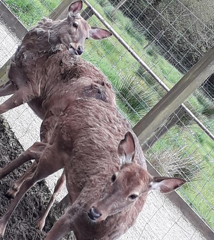 Lurgybrack Open Farm-County Donegal必去景点