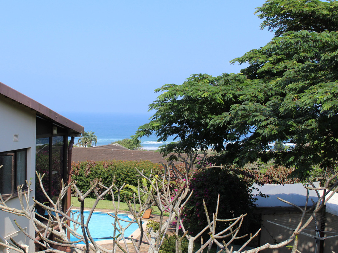 Birdcage Bed & Breakfast主图