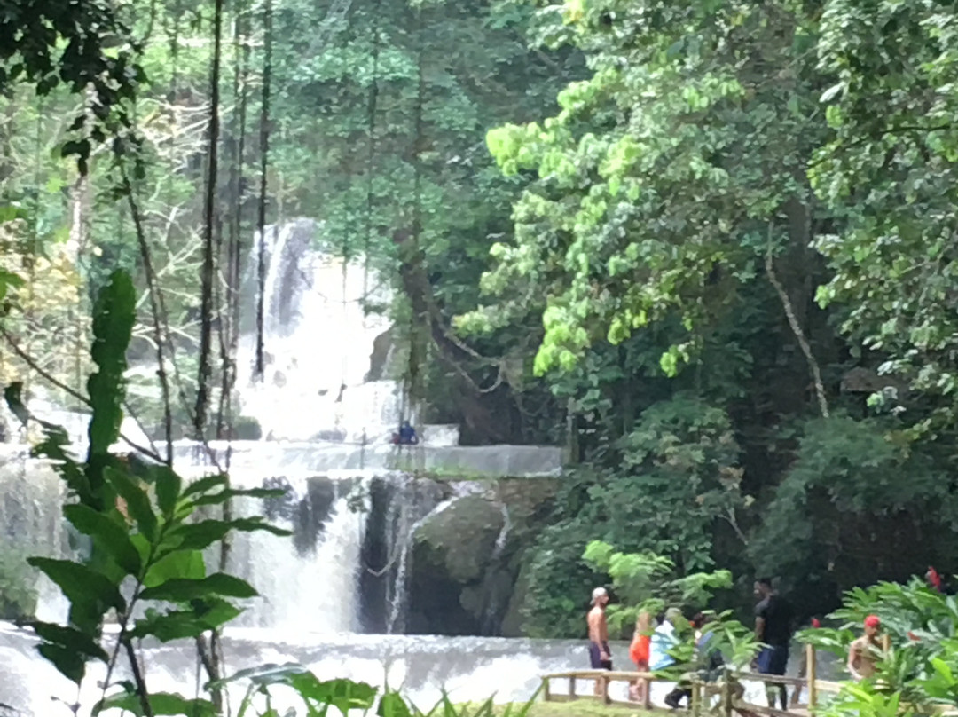 YS Falls-Saint Elizabeth Parish必去景点